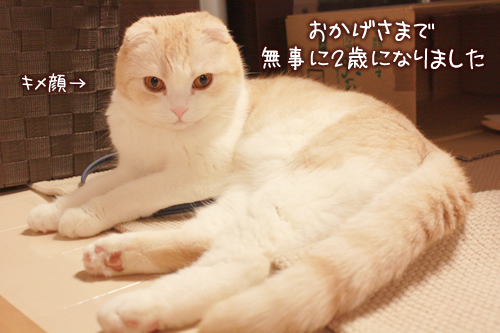 ̵���ˣ��Фˤʤ�ޤ���