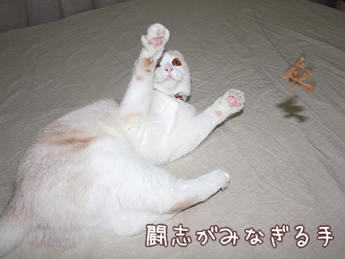 闘志がみなぎる手