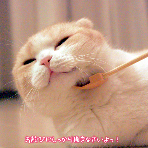 ���ͤӤˤ��ä����ߤ��ʤ�����á�