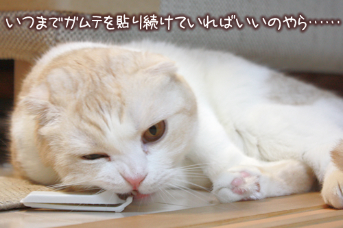 ���Ĥޤǥ���Ƥ�Ž��³���Ƥ���Ф����Τ��ġ�
