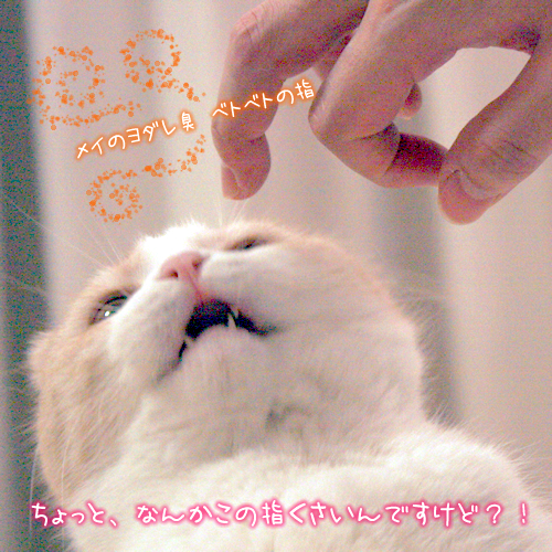 ����äȡ��ʤ󤫤��λؤ�������Ǥ����ɡ���