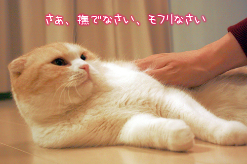��������Ǥʤ�������ե�ʤ���