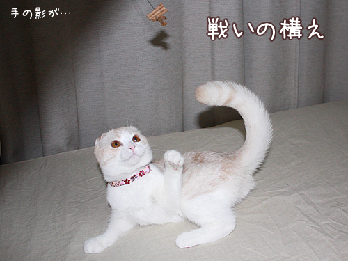 戦いの構え