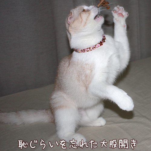 恥じらいを忘れた大股開き