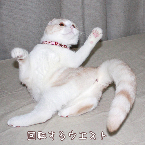 回転するウエスト