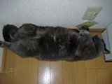 46bcd9e4.jpg