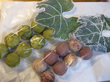 de8e4079.jpg