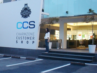 チャームゾーン CSS