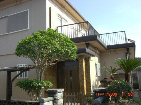 CIMG1134