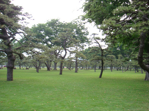 皇居外苑右_1