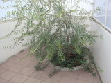 227666a2.JPG