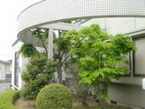 682614ec.jpg