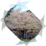 2005/04/29　a.m.6：00