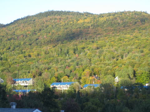 2009_0914_065802AA1