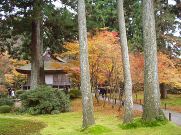 京都大原三千院