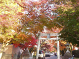 鷺の森神社3