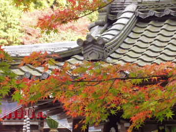 赤山禅院の紅葉と屋根瓦