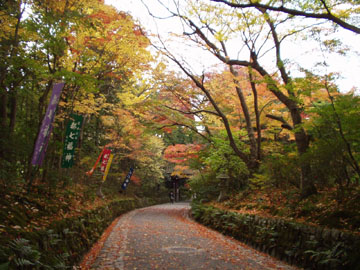赤山禅院参道の紅葉