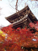 真如堂三重の塔