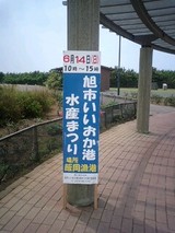 175c015e.jpg