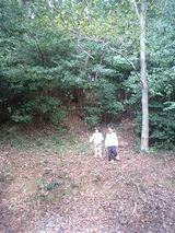 412dc5ef.jpg