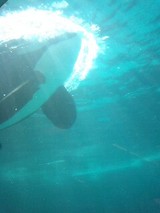 5be87652.jpg