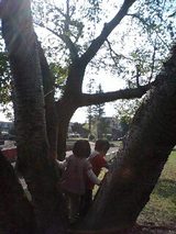 7e931ec1.jpg