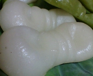 糝ʴ�ߡʤ��󤳤����