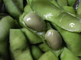 ��Ʀ�λ�Ʀ
