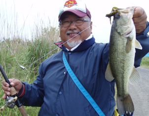 294-5bass525