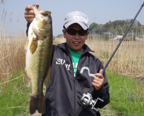 294-2bass413