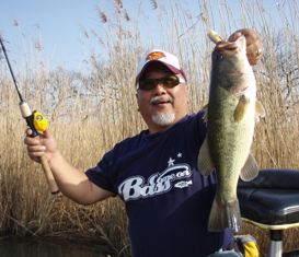 294-1bass319