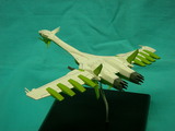SANY0034