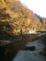 d49023b3.JPG