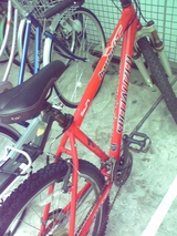 愛車(チャリ)
