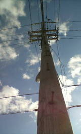 1017b2f0.JPG