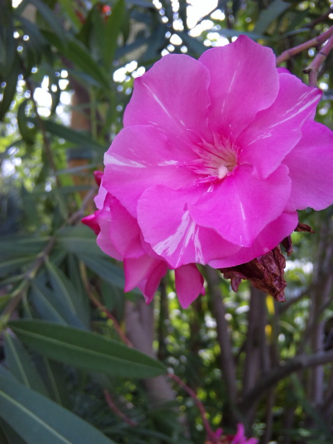 282f562a.JPG