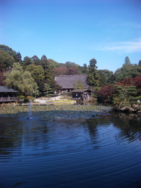 DVC00010