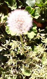 5a98c24f.JPG