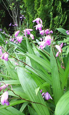 6c02cc28.JPG