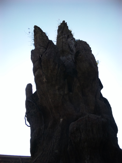 DVC00024