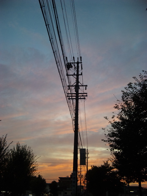 DVC00081