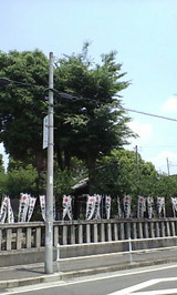 9c45bf54.JPG