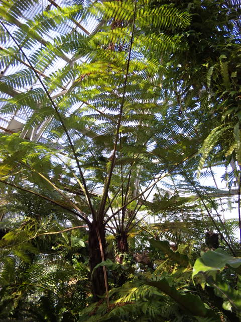 DVC00011