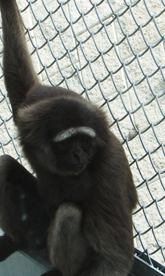 ba528047.jpg