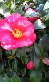 fe79867d.JPG