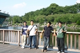 NIC水族館11