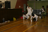 A12