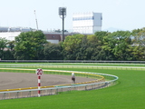 【競馬場】東京・ダート