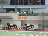 �ڶ��Ͼ��������������